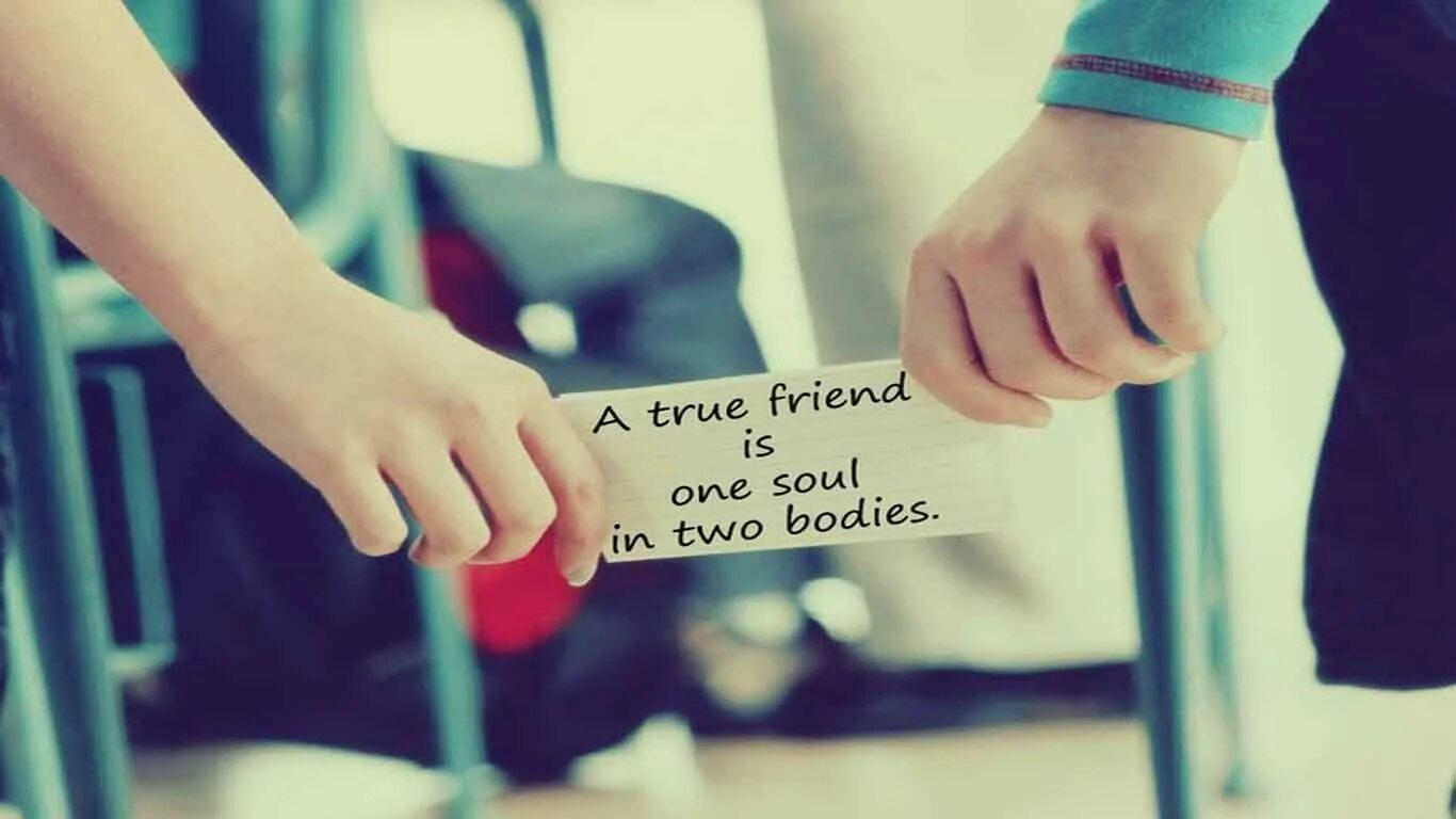 What the true meaning of Friendship is?. True friends like to share. Friendship don’t last Forever. True friendship