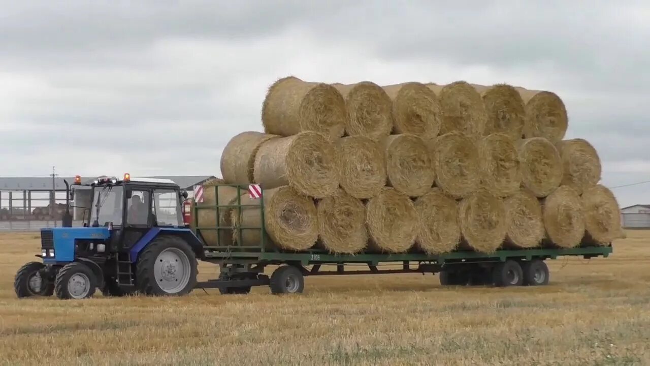 Погрузка сена. Погрузчик-транспортировщик рулонов ТП-10. МТЗ 82 тюки соломы. МТЗ 82 тюки сена. ТП-10-1 транспортировщик рулонов.