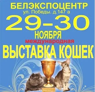 Белэкспоцентр выставки 2024 год