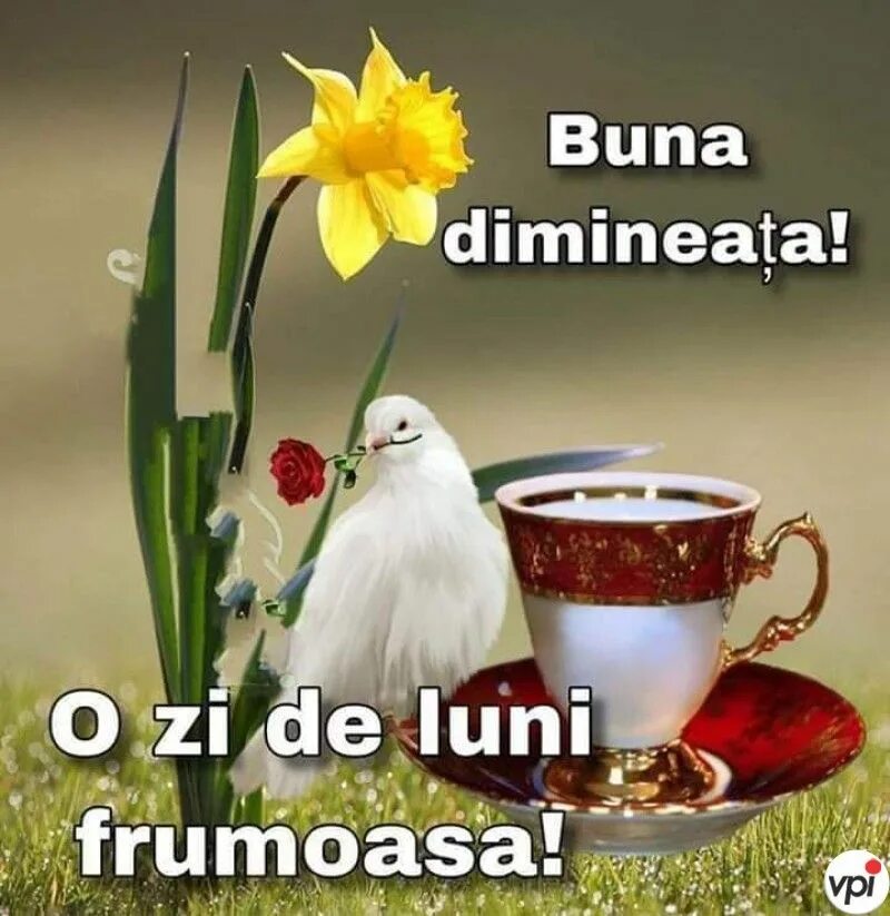 Buna ziua картинки. O seara frumoasa картинки. Ла мулць ань де зиуа та. Молдавия девушки. O seara frumoasa картинки.