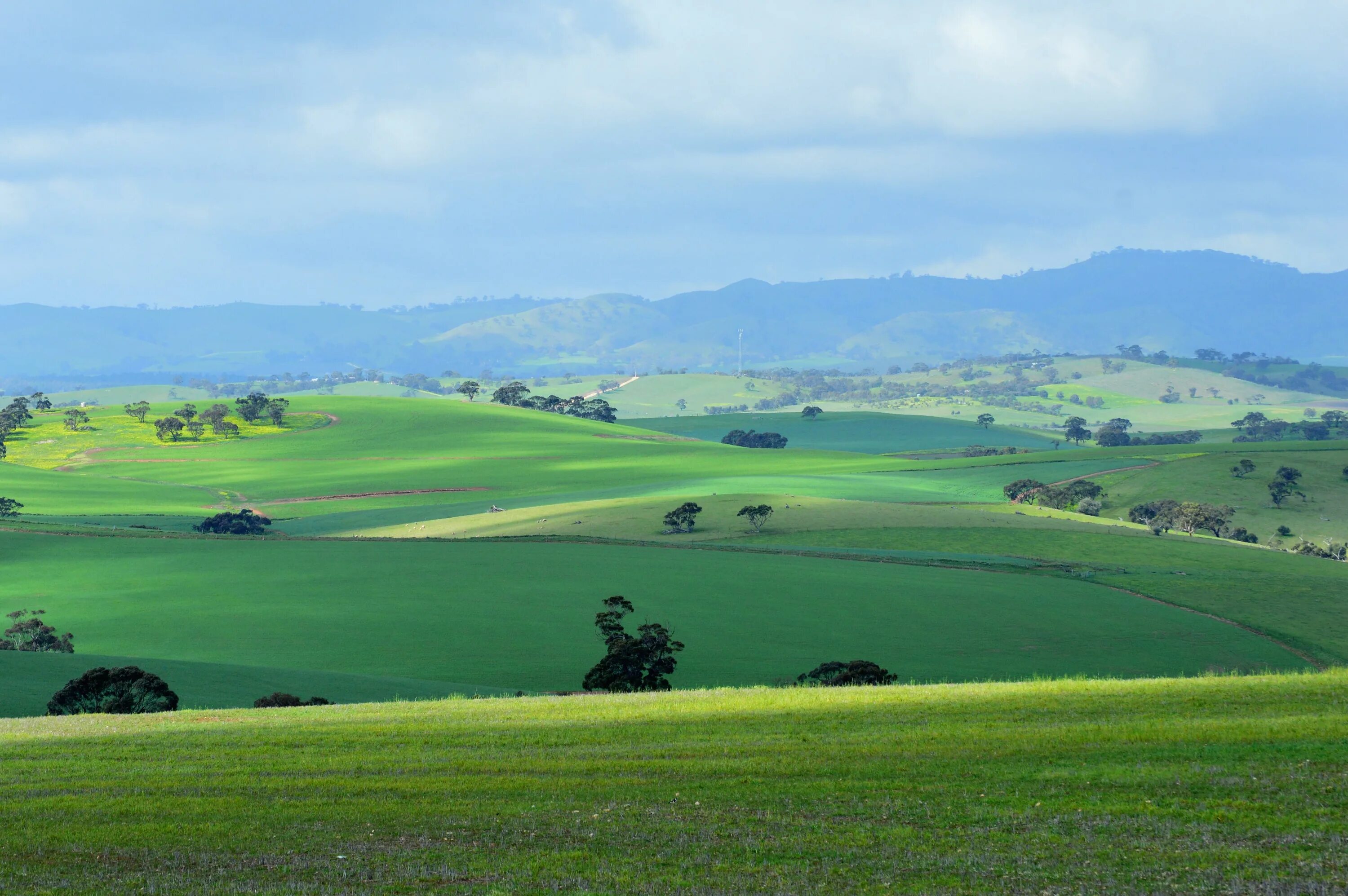 Rolling hills. Grassy Hill. Rolling Emerald Hill Ireland. Rolling Hills. Картинки.