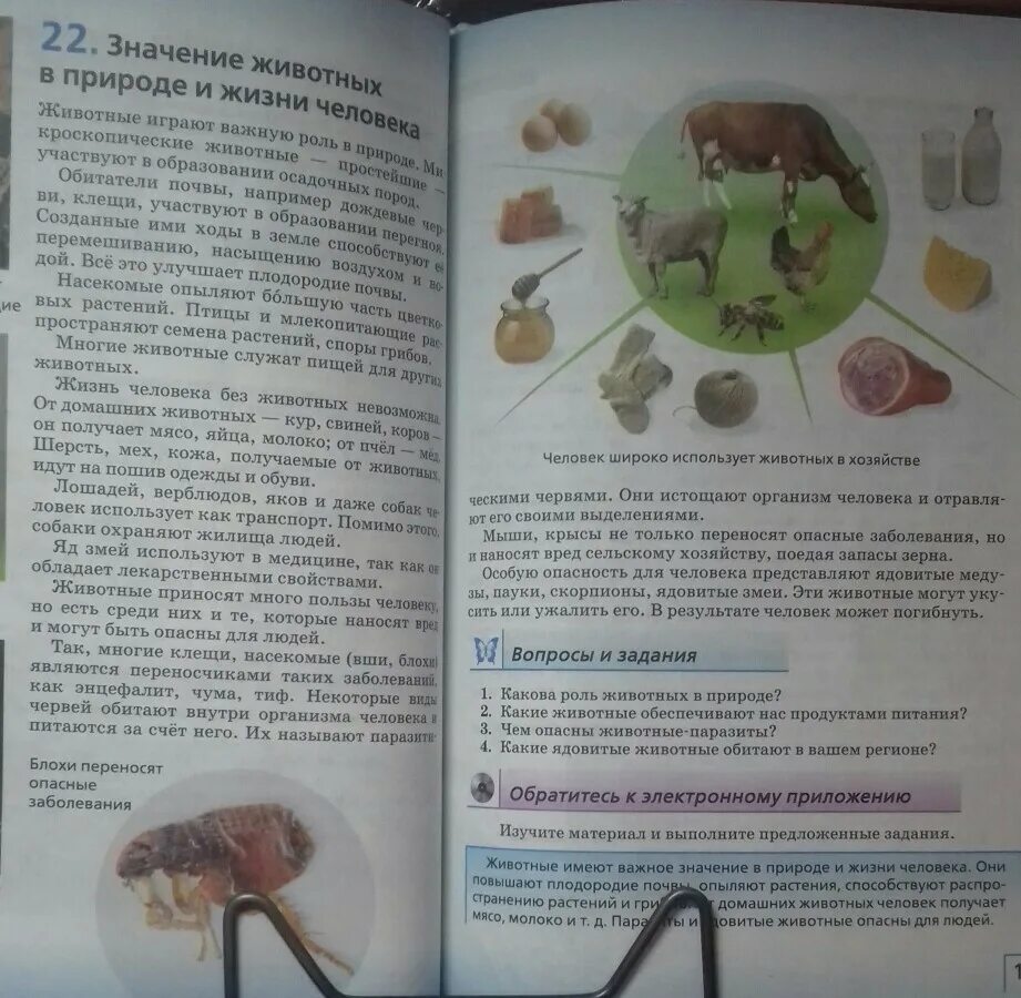 Биология 5 6 класс параграф 22. Параграф 22 значение животных в природе. Биология 5 класс параграф 22. Читать параграф 22. Значение животных для человека 5 класс параграф 12.