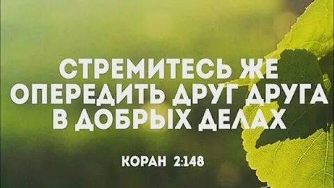 Обгони друзей