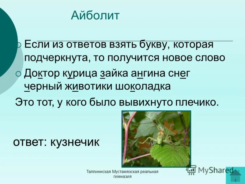 Трещит а не кузнечик. Отгадывать загадки, не кузнец, а с клещами. Насекомые презентация для дошкольников. Загадка не кузнец а с клещами. Загадка лесом катится клубок.