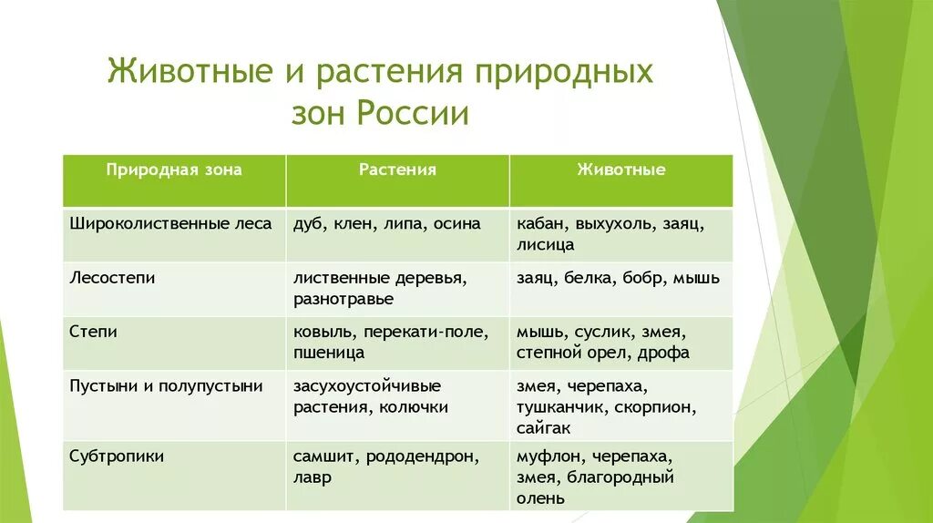 Установите соответствие между животными и природной зоной