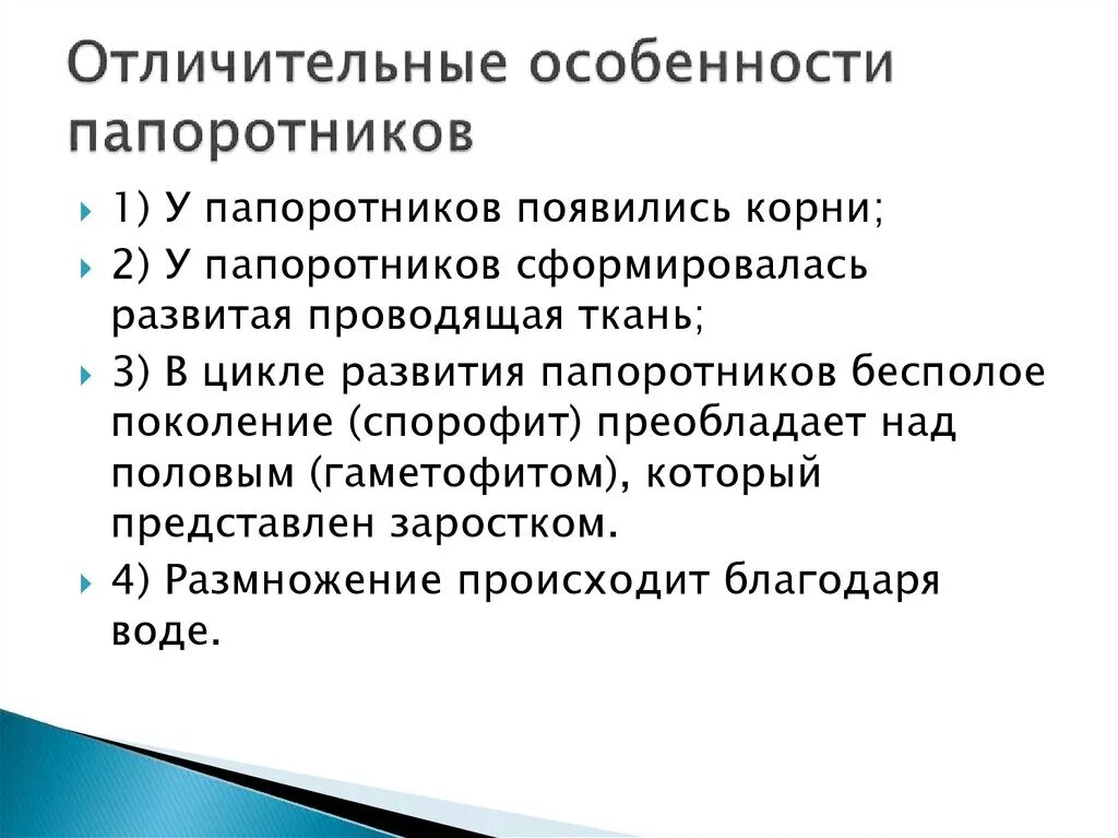 Общая характеристика папоротников 6 класс. Особенности папоротников. Характерные особенности папоротников. Характеристика папоротников. Особенности папоротниковидных.