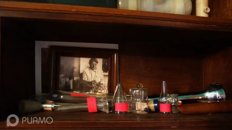 Музей ученых. Музей в архангельском. Музей чижевского калуга. Музей ученых. Мемориальный музей николая вавилова в саратове.