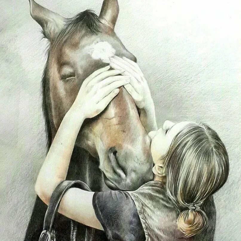 Добрая лошадь. Лошади добре. Лошадь добрая и красивая и девушка. Рисунок добро лошади. Добра коня