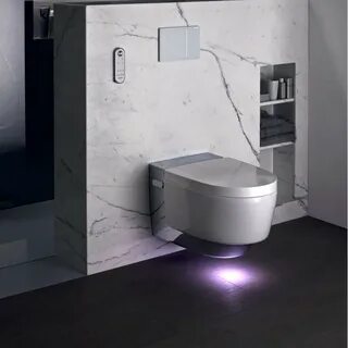 Туалеты geberit