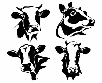 Cow head