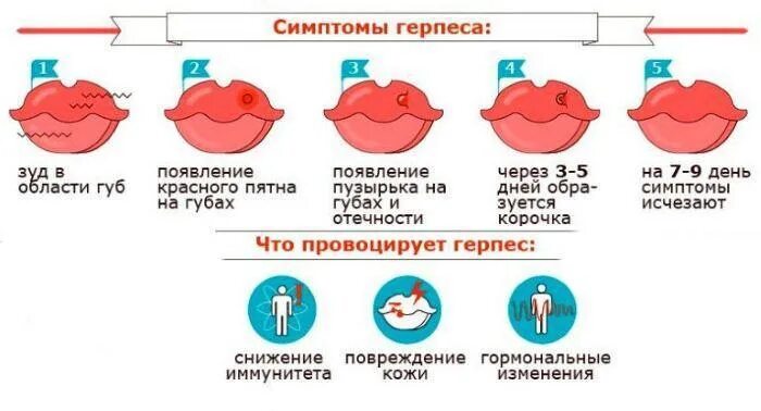 Герпес как быстро вылечить за 1 день. Передается ли вирус герпеса 1 типа. вирус герпеса 2 типа у ребенка симптомы.