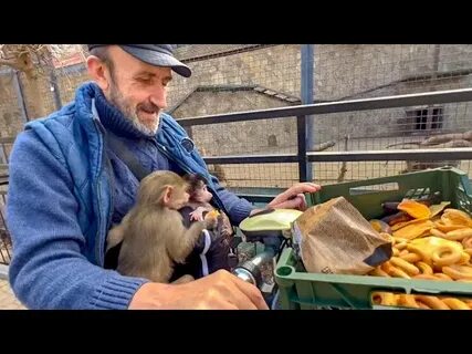Люся обезьяна парк тайган последнее