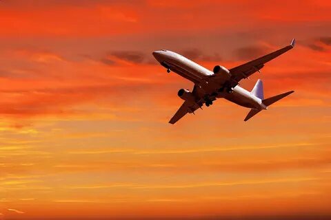 Red flight
