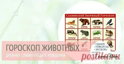 Славянский гороскоп животных