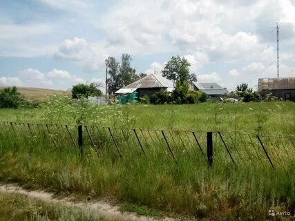 Погода в петропавловке новосибирская область