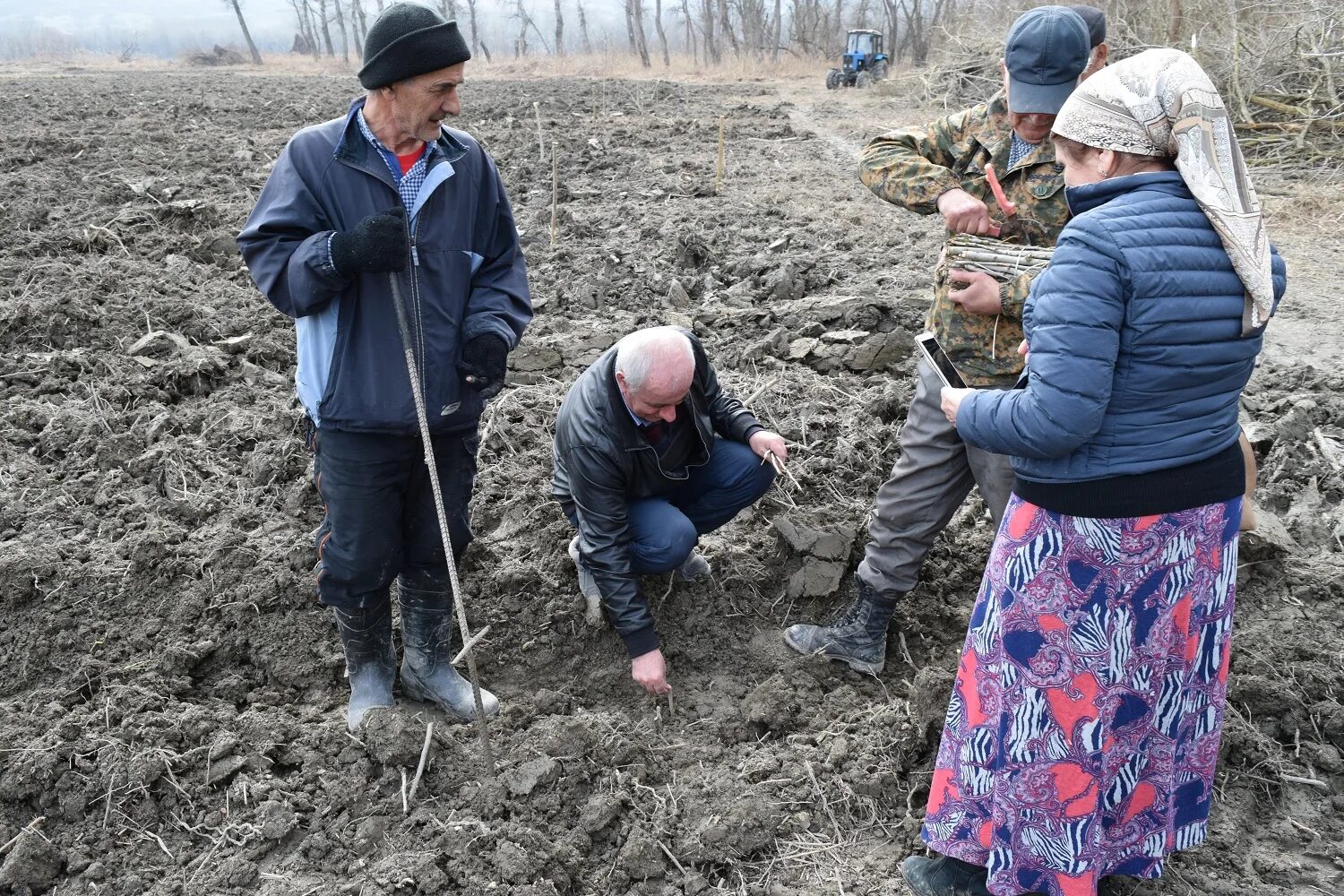 Погода чеченской республики сегодня. Министерство природных ресурсов Республики Чечня. Огороды в Чечне. Чеченская Республика Совхоз Родина. Село Комарово Чеченская Республика.