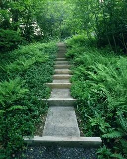 Enter path