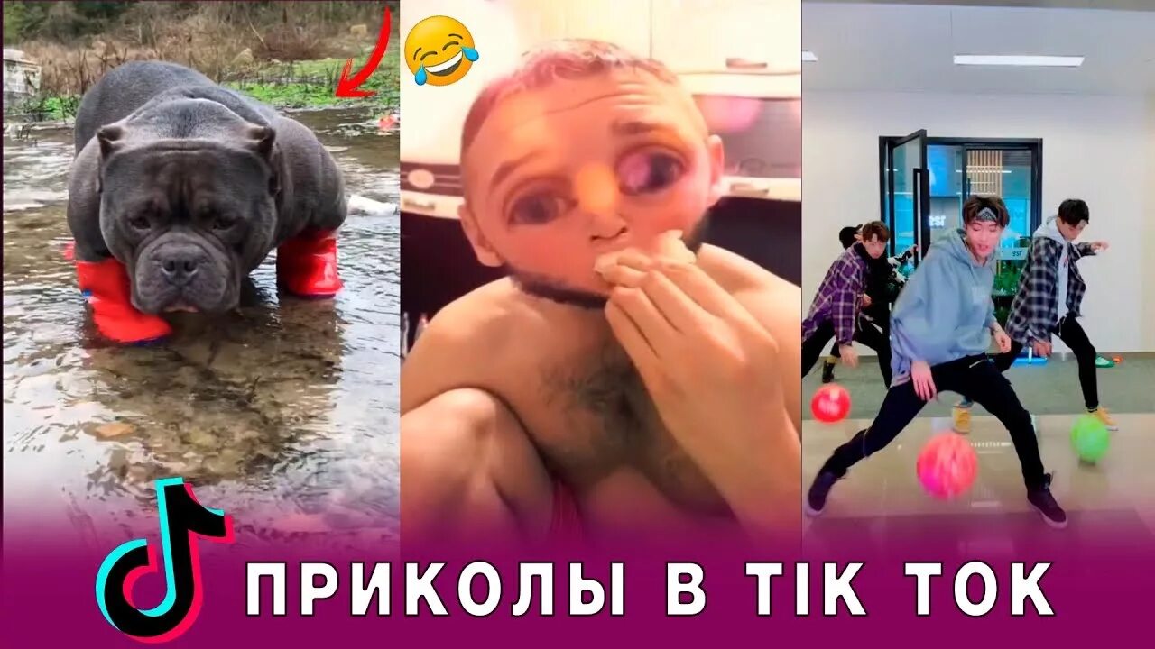 Тик ток приколы. Смешные приколы из тик тока. Юмор из тик тока. Видеоролик с тик тока