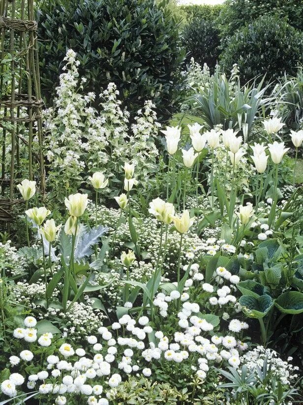 Как красиво оформить место для отдыха в саду: 20 идей Cottage garden plants, Cot