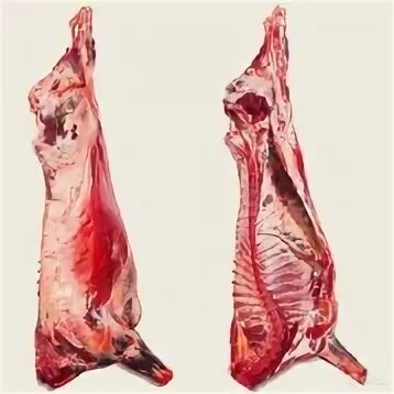 Упитанность туш. Категории упитанности свиней таблица. Таблица категории упитанности мяса. Упитанность туш. Состав туши.