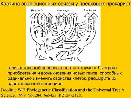 Перенос гена