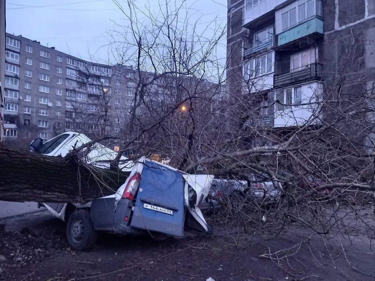 Ураган в калининграде. Ураган в калининграде. Ураган в калининграде сейчас. Буря в калининграде сегодня. Столб.
