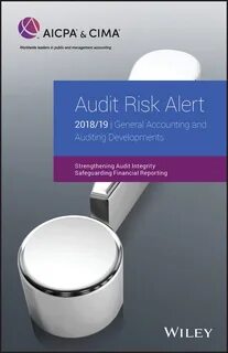 Audit risk
