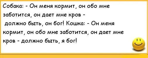 Собака думает человек меня кормит. Собака думает человек меня кормит значит он Бог. Собака он меня кормит. Он меня кормит наверное я Бог. Песня он такой хороший заботится