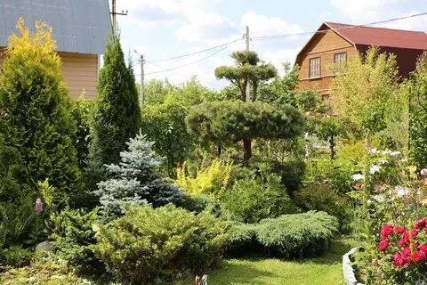 Лучшие сады подмосковья