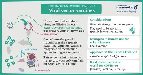 Viral перевод