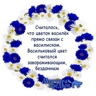 Васильки для василисы