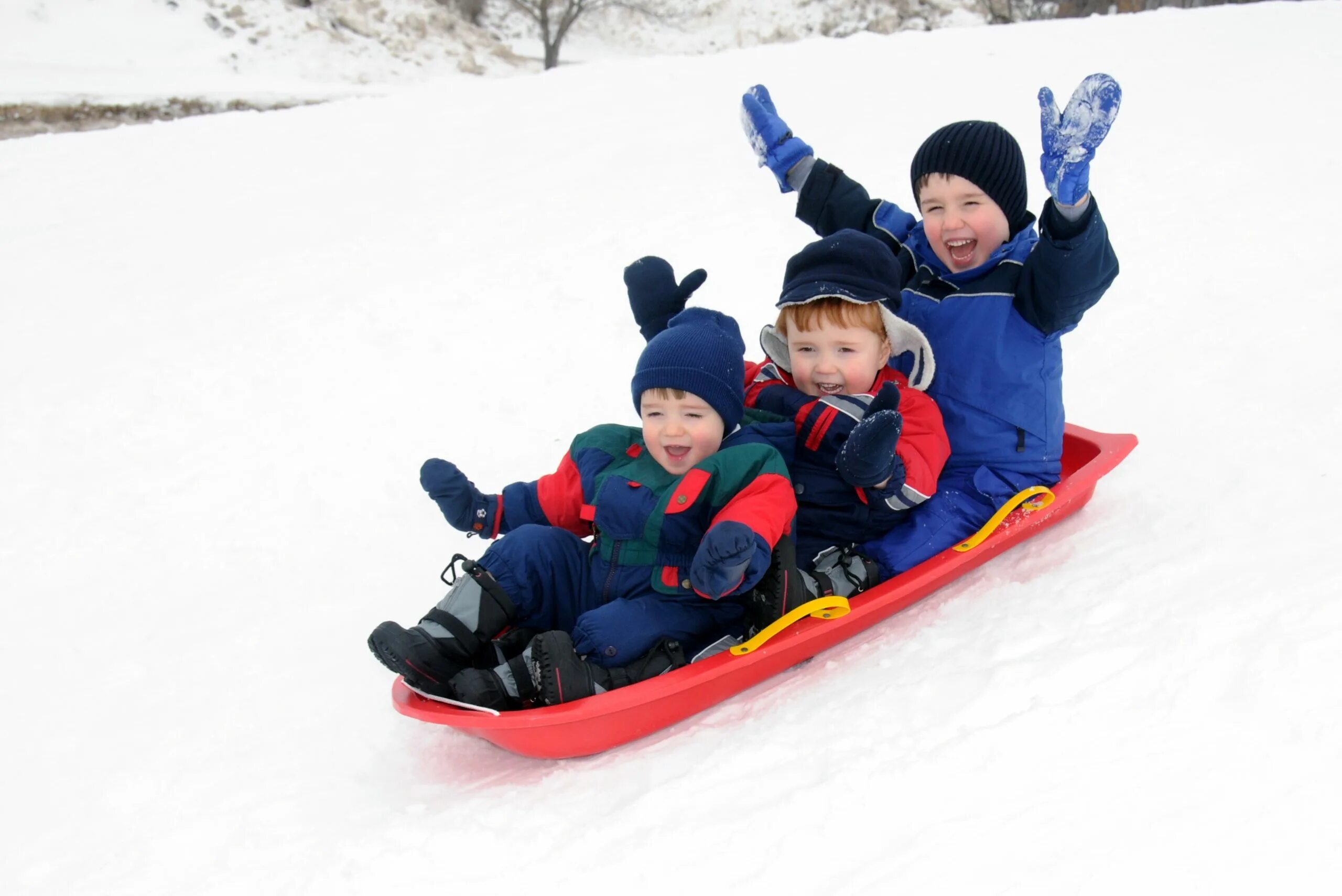 Go sledding