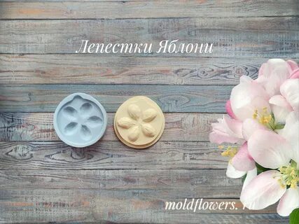 Лепестки яблони