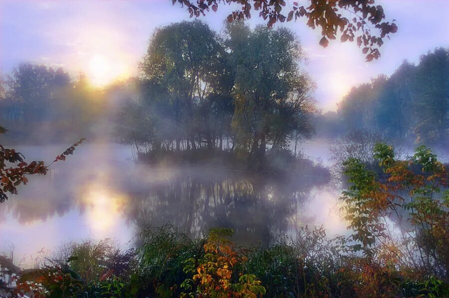 Туманное утро. Тихое летнее утро. Туман над рекой. Лес в утренней дымке.