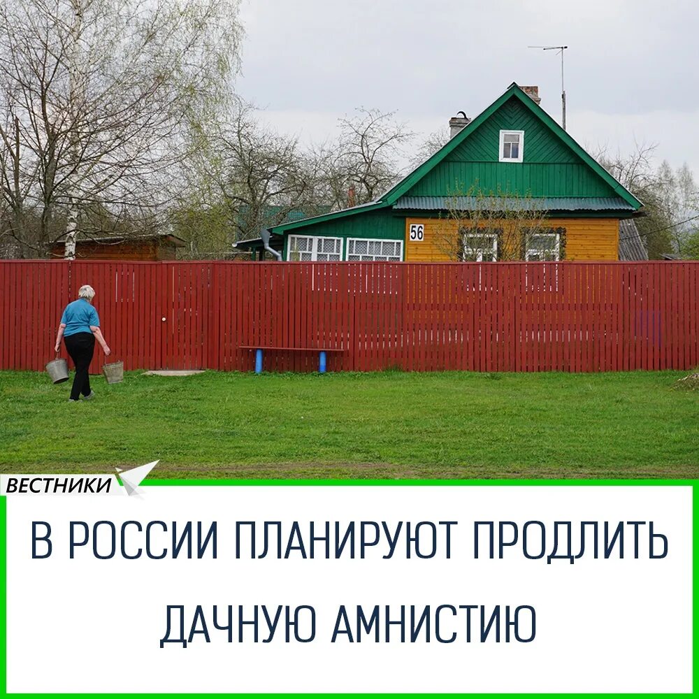 Дачная амнистия. Дачная амнистия 2022 для снт. Дачная амнистия. Дачная амнистия. Продлили дачную.