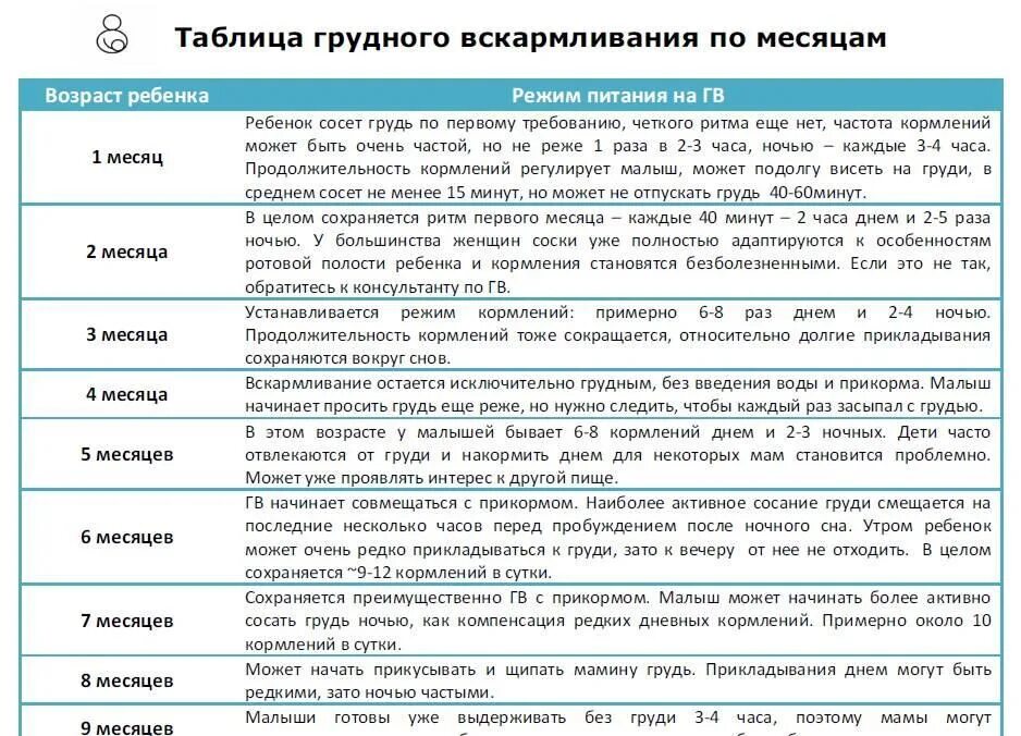 График грудного вскармливания по месяцам. График грудного вскармливания по месяцам ребенка. Как кормить по режиму на гв. Режим ребёнка на грудном вскармливании по месяцам.