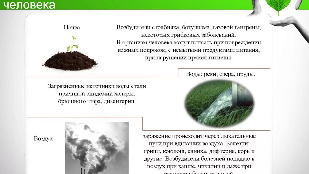 Почвы воздух продукты питания. Возбудители загрязнения почвы. возбудители заболеваний в почве. заболевания при загрязнении почвы. вода почва и воздух болезни.