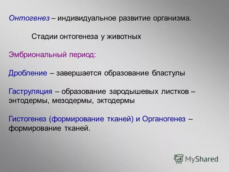 Стадии онтогенеза. Дробление завершается образованием. Дробление и образование бластулы. Дробление и образование бластулы. Стадии онтогенеза.