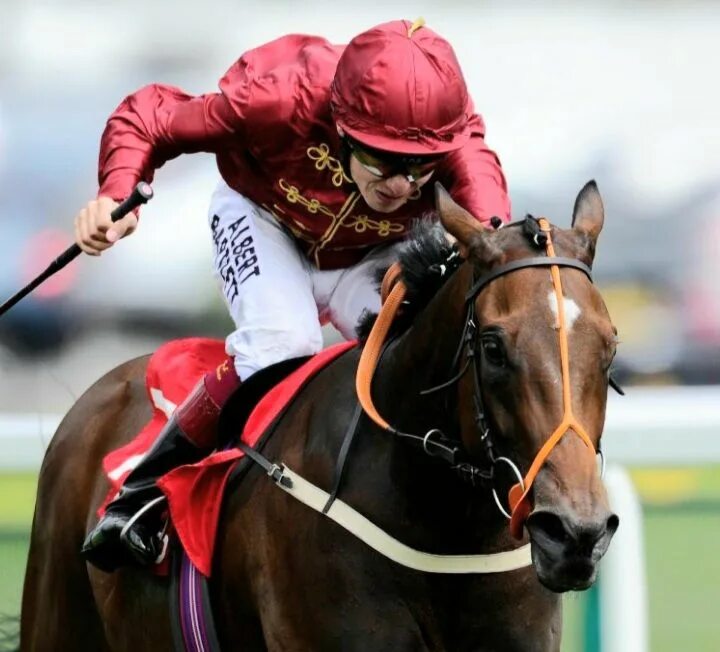 Le jockey