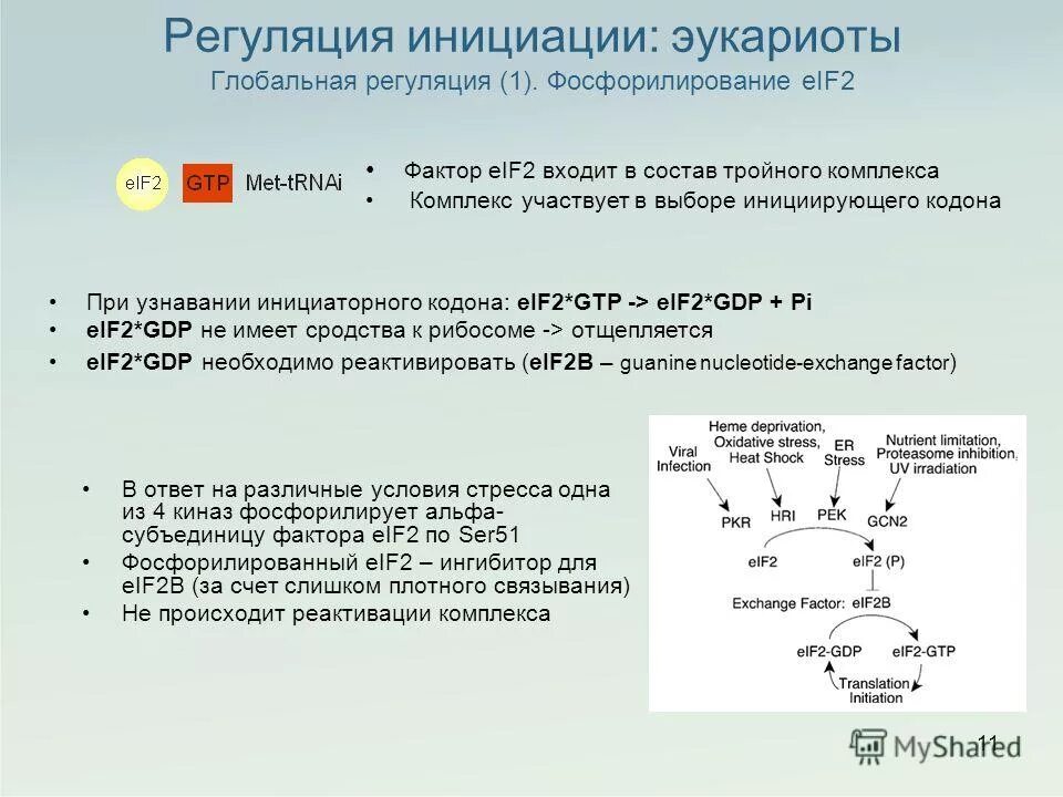 основания для инициации проекта (предпосылки реализации проекта). предпосылки инициации проекта. срок инициации проекта это что. процесс инициации проекта. факторы инициации трансляции у прокариот.