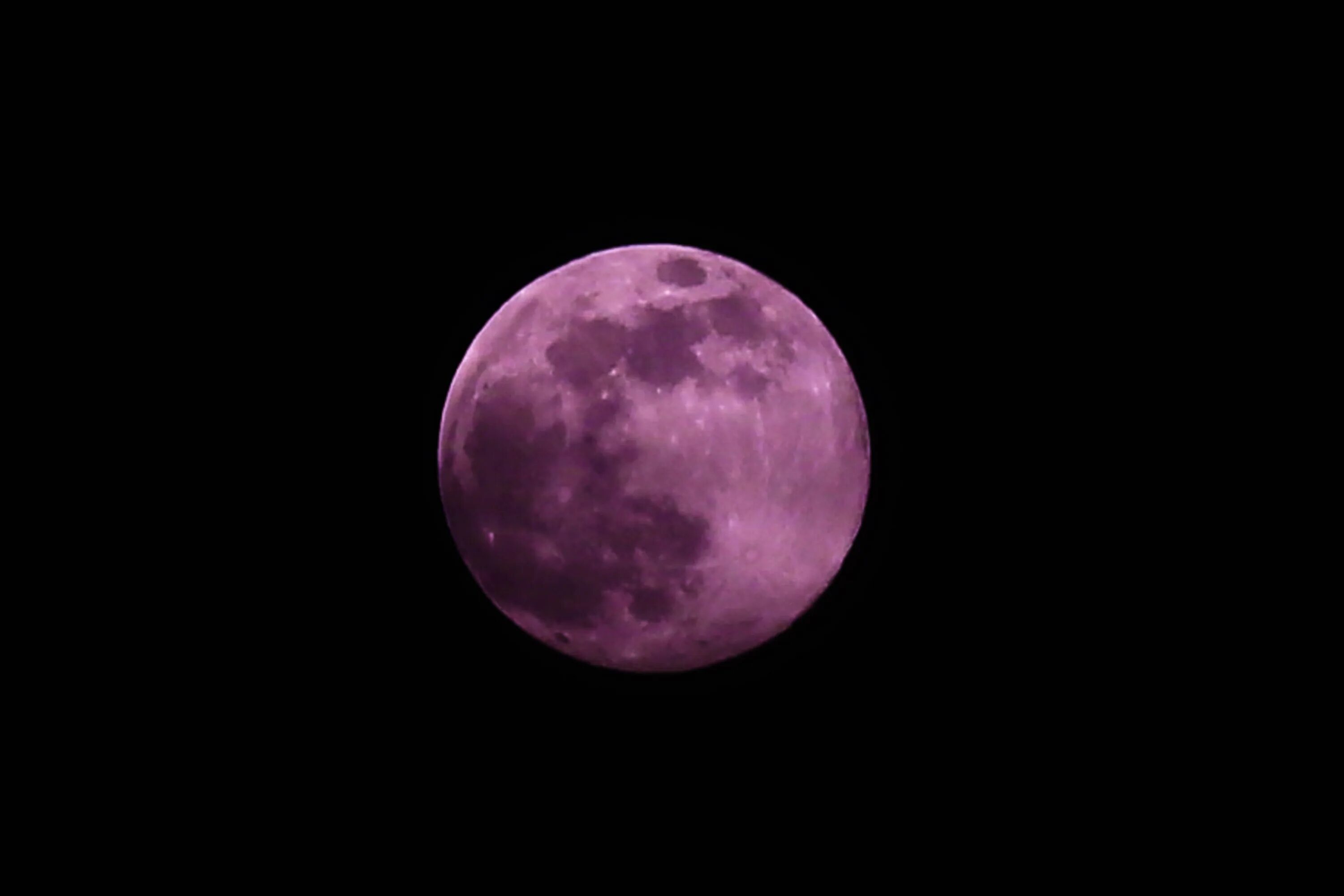 Есть розовая луна. Розовая Луна. Розовое полнолуние. Луна на розовом фоне. Луна розового цвета.