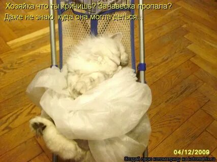 Наглая сестра нахлебница