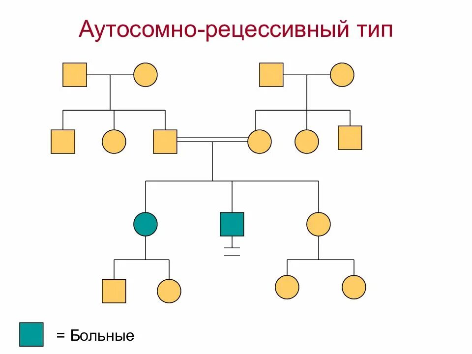Пример аутосомно рецессивного наследования. Аутосомно-рецессивный тип наследования. аутосомно-рецессивный тип. аутосомно-рецессивный тип наследования картинки. аутосомно рецессивеыйтмп.