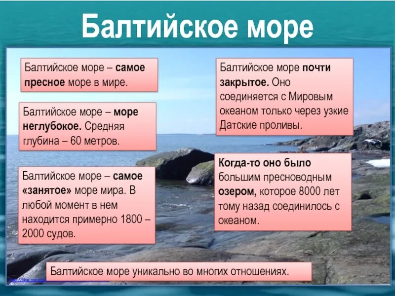 Моря россии доклад. Особенности Балтийского моря. Рассказ о Балтийском море 4 класс. Балтийское море рассказ. Интересные факты о Балтийском море.