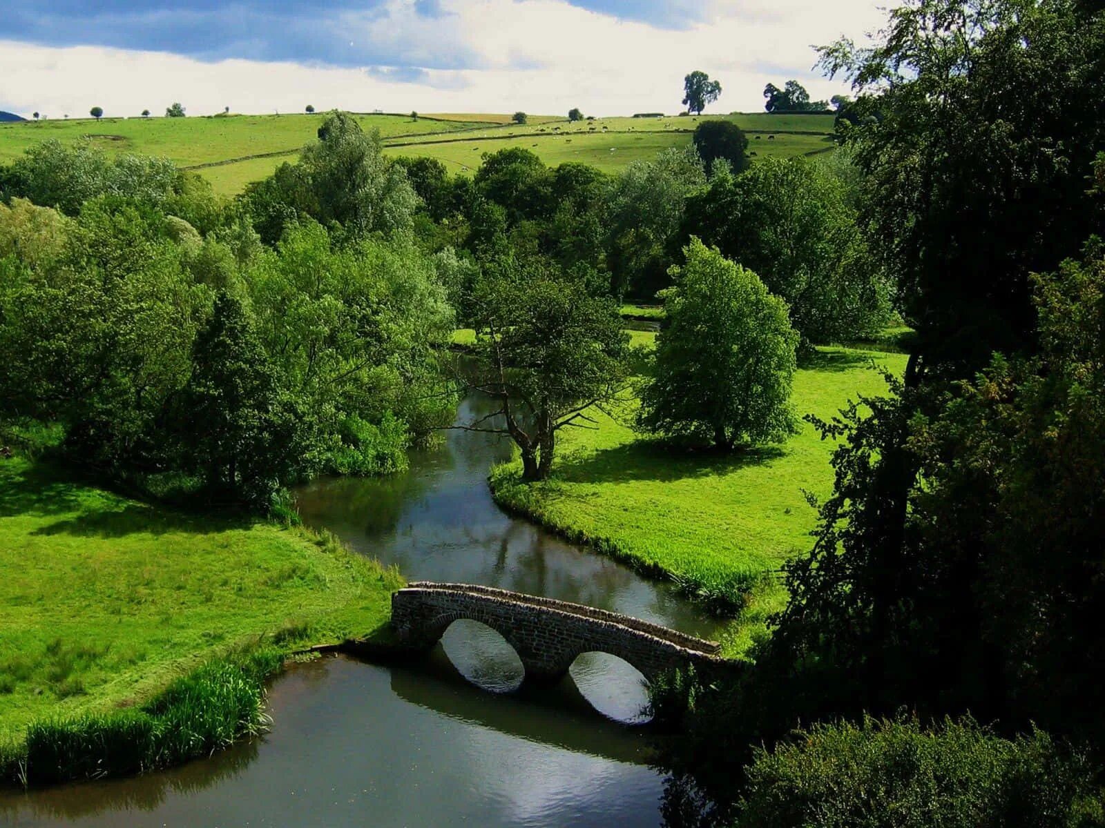 English countryside. Пейзажи Англии. Природа Британии. Природа на английском. Восточная Англия природа.