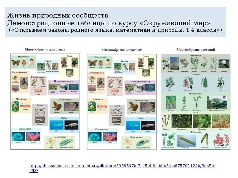 Сообщество окружающий мир 4 класс. Природные сообщества таблица. природные сообщества 4 класс таблица. природные сообщества 4 класс окружающий мир. природные сообщества 4 класс окружающий мир таблица.