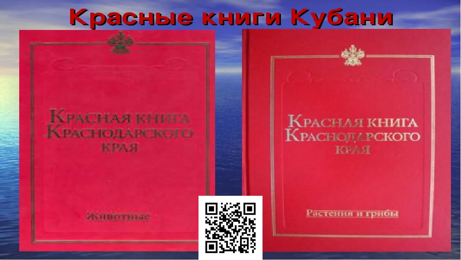 Животные, занесенные в Красную книгу Краснодарского Края - презентация онлайн