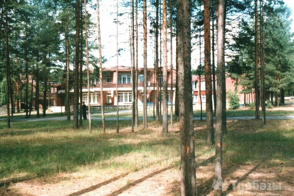 Детский санаторий в комарово психоневрологический. Детский санаторий в комарово психоневрологический. Санаторий комарово ленинградской области. Комарово санкт петербург санатории. Комарово санаторий спб детский психоневрологический.
