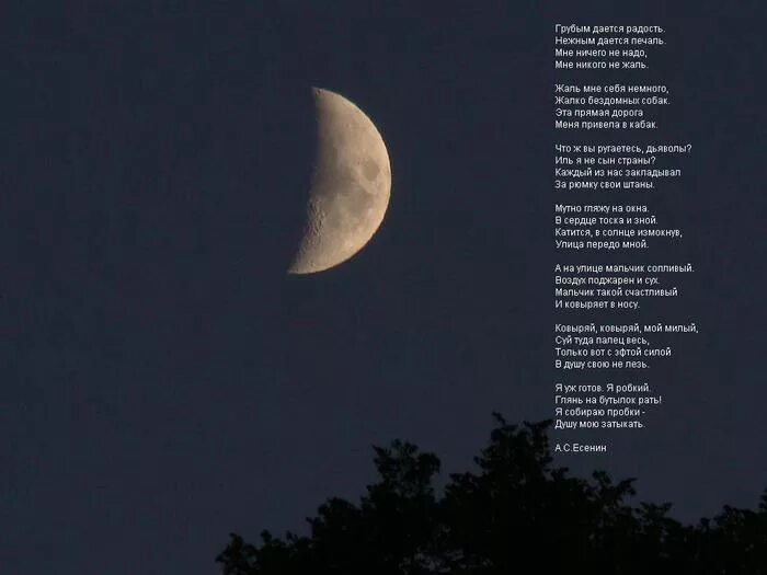 Есенин стихи грубым дается. Есенин стихи грубым дается. Есенин стих грубым дается радость. Стихотворение до слез. Стихи есенина грубым дается радость.