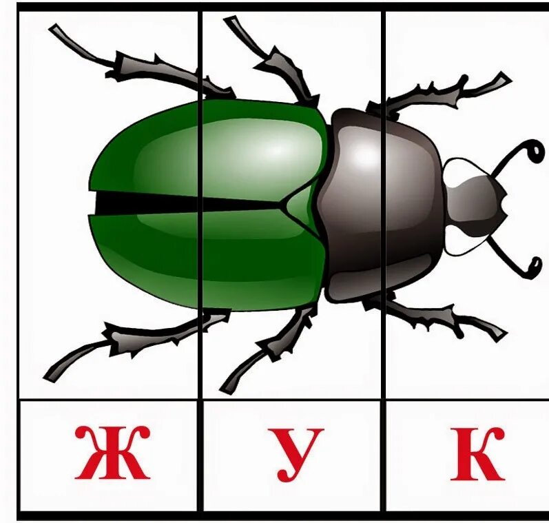 Математические пазлы насекомые для дошкольников. Карточки насекомых для дошкольников. Карточка Жук. Насекомые (сложи картинку). Муравей по слогам